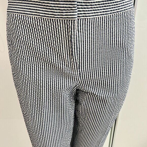 Ann Taylor Devin Ankle Pant in Seersucker Stretch Blue SZ 6 - Picture 6 of 13